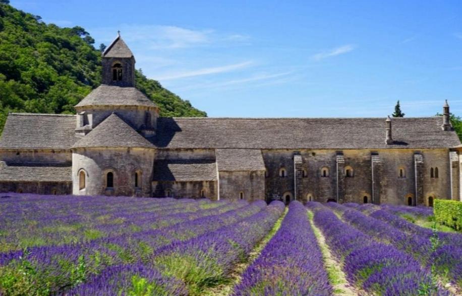 Le Petit Pied A Terre Du Luberon Daire Mérindol Dış mekan fotoğraf