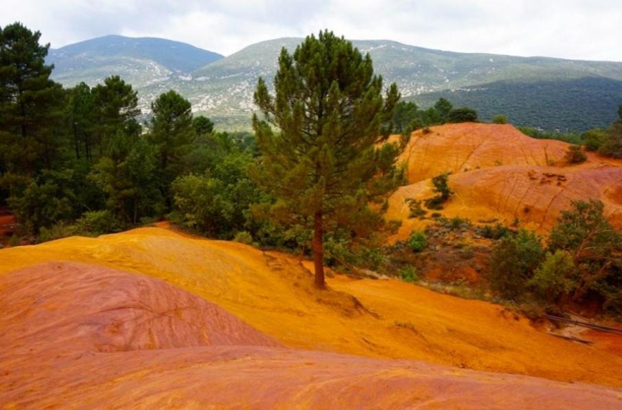 Le Petit Pied A Terre Du Luberon Daire Mérindol Dış mekan fotoğraf